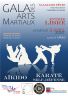 Gala_Arts Martiaux_2020_v3.jpg