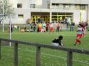 USC FootBall Carrières sur Seine